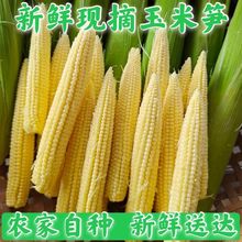 ��S�۽����٬Fժ���׹S�����3�߲�ˮ������2���r���]�����r��С