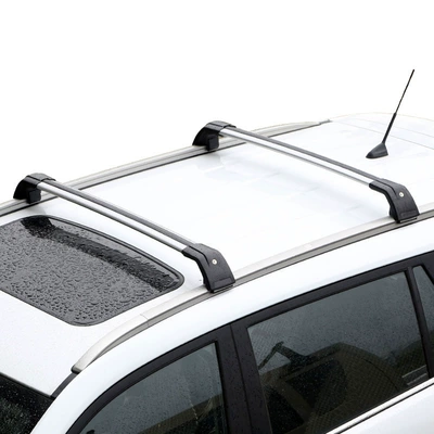 Roof rack Tang Second Generation New Energy