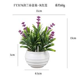 仿真剑兰春塑料茶杯迷你盆栽家居桌面摆件仿真多肉人造盆景小礼品