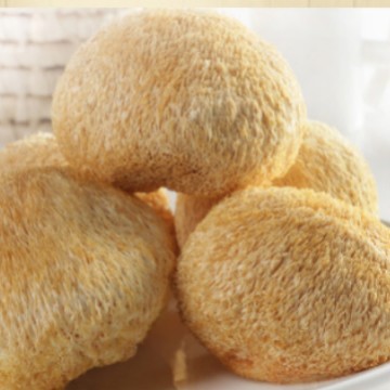 古恬营养猴头菇干品1kg 新鲜猴头菇 猴菇饼 猴菇粉 猴头菇罐头