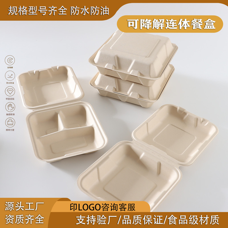 Disposable Paper Pulp Lunch Box, Sugar Cane Residue, One-piece Light Salad Takeaway Packaging Compartment with Lid, Biodegradable Lunch Box