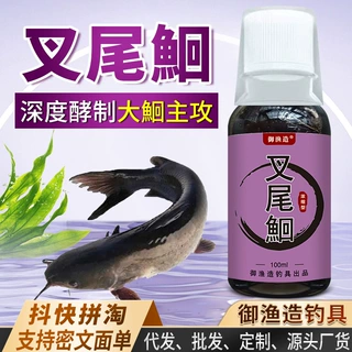 叉尾鮰鱼钓鱼小药饵窝料添加剂胡子鲶黄骨昂刺黄拉丁无鳞鱼开口