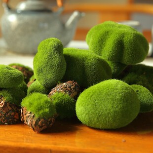 �ɷ���̦�\�Kֲ�qëʯ�^��̦�[���A��΢���^�����쾰�bGֲ��