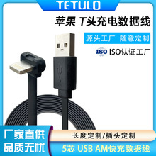 12W�ͺ�ܛ����Lightning/�O��T�^5о�W�䔵������늾��������