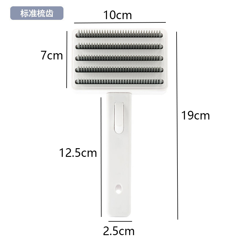 표준 빗