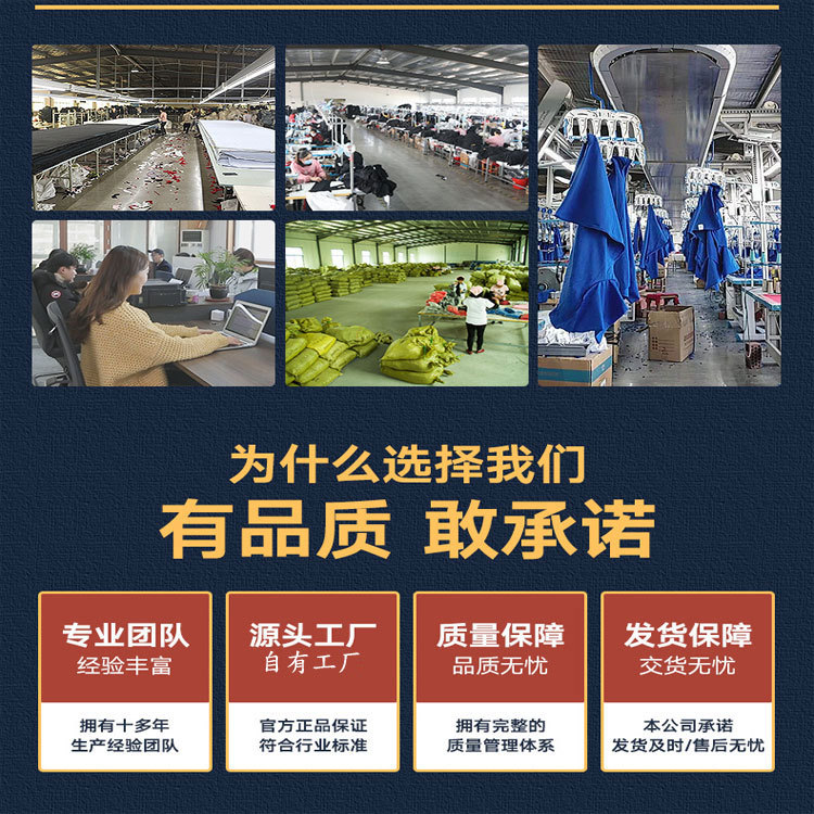 样图