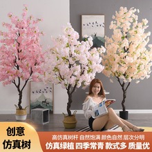 ԼһGֲˇ҃ȿ͏db滨[ֲ辰