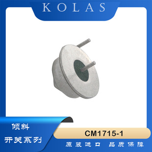 CM1715-1 CM1725-1 Переключатель углового переключателя наклона ртутного наклона (15 градусов, 25 градусов)