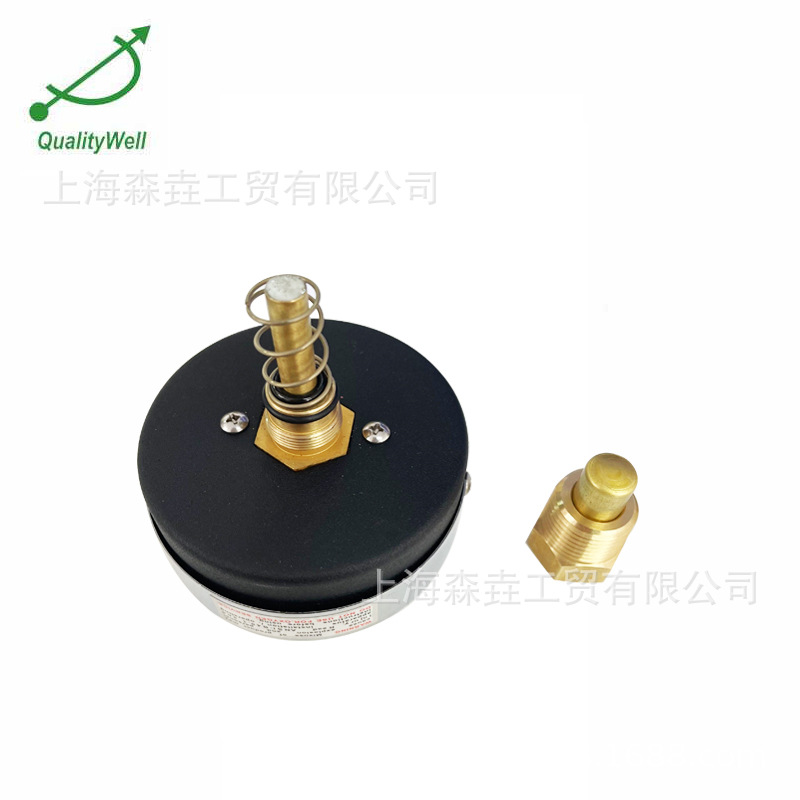 �ߵ��Ͷ����ȶ������ֹ�����ůϵͳˮ�±��������� 1/2NPT���� WH