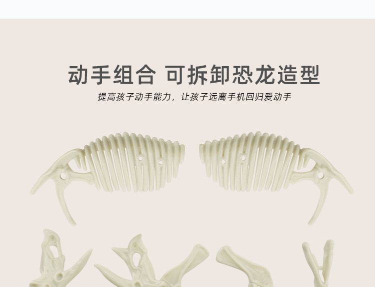 Dinosaur Fossil Excavation Kit Image 3