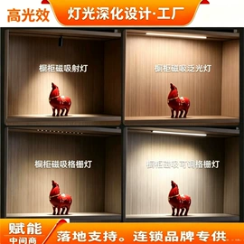 射灯;PAR灯;LED轨道灯