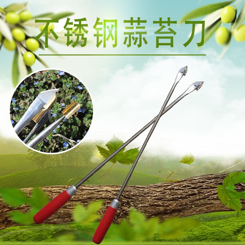 五金园林工具蒜苔收割刀抽蒜薹器抽蒜苔工具划剥蒜苔器农用蒜薹刀