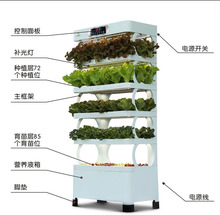 學校家庭智能水培種菜機無土栽培設備自動水耕種植櫃工廠種植設備