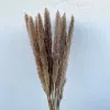 Original color 50-60cm