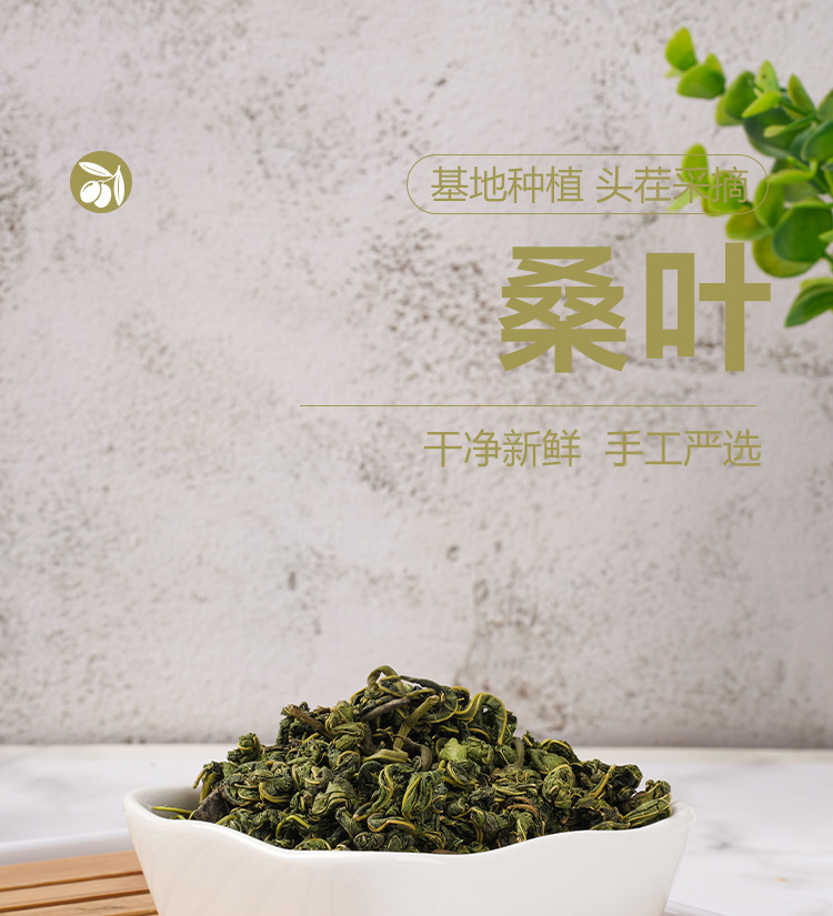 Frost Mulberry Leaf Tea (Morus alba) — Dried Mulberry Leaf Herbal Tea, 75g Jar quality and texture