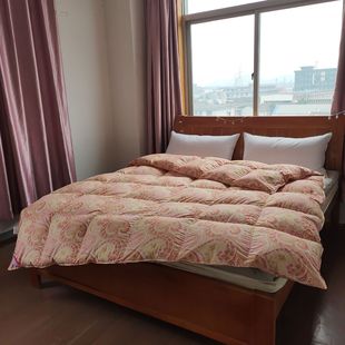 95% White Goose down Thickeneded Double Autumn and Winter Quilt Factory Direct Supply Home Textile 100% Cotton down Quilt Core