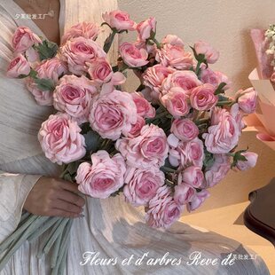 ins�p���Fɏ������ɫ¶ɏ�ٻ�ˇ��ض��^�������Ĕz�b���