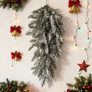 2025�¿�羳��PE��ѩ�����}�Q����ѩֲ�q�}�Q�҃�ѩ���Շ��I���