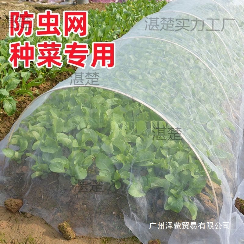 防虫网种菜专用80目防虫罩加密纱网菜地果园网蔬菜防鸟罩菜园菜地
