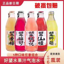 山楂气泡水饮料解腻l健康脂肪5好望300m水望0瓶梅网红汽水好杏福