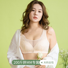 ��a����Ů�����@С����۔n���´���mm�����ٽz���ֱ��o�Ȧ����