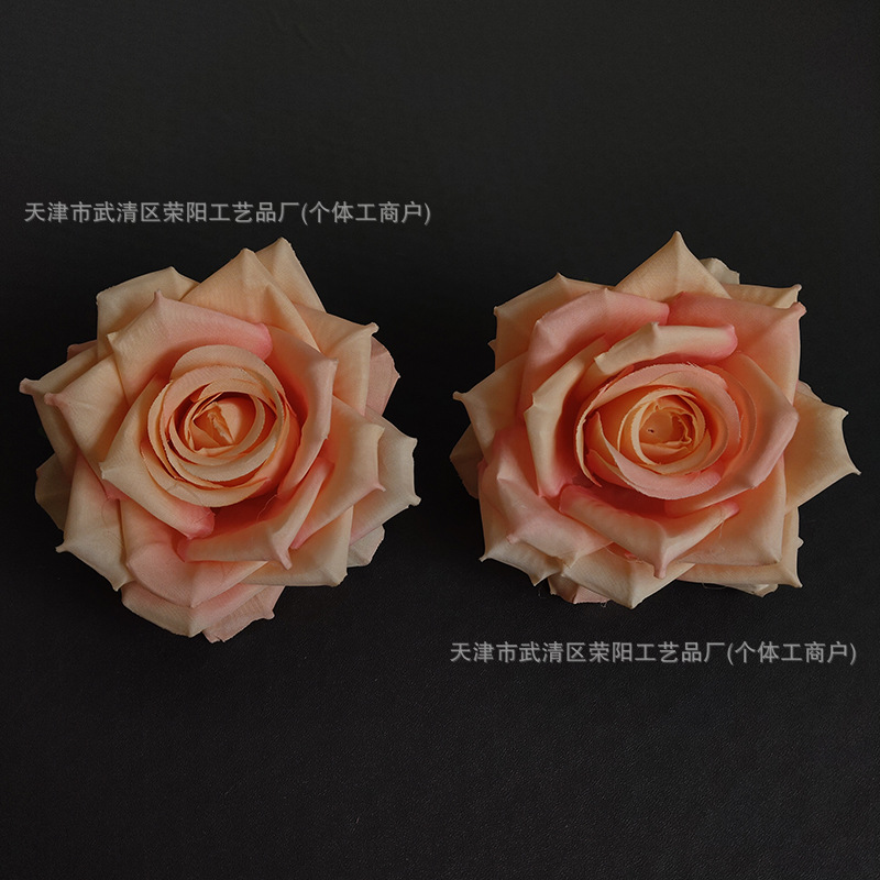 오렌지 핑크