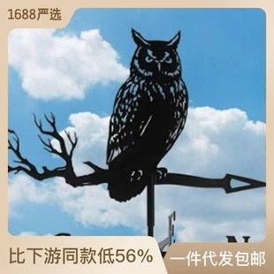 �羳���P䓇����L��˔[���WʽͥԺ����b�����ٹ�ˇƷ���l