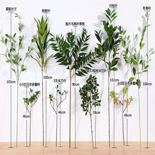 �羳����ֲ���~���F��֦�~ɢβ���~�ȼ����~�廨�������Gֲ���l