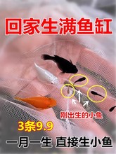 ~ ̥~ Ƥ~ Ꭷ~ ֺB~ ~w]