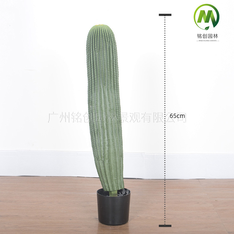 Decoración de paisajismo de plantas falsas en el desierto tropical image 24