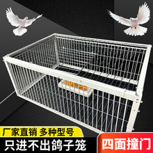 天落笼户外家用屋顶厂房鸽子笼活络撞门信鸽自动门进鸽子神器