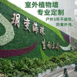 ������ȼB1����ƺֲ��Gֲ�������ƺ���������m�ȼ�����ƺ�b�