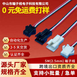 SM2.5间距公母对接插端子线加工连接器电子连接线线束线材定制做