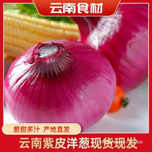 ���r�����ʳ����Ƥ���[���ԈA�[�N���{ζ�r���ԷN���r�߲�ȫ��