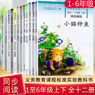 С�Wһ�����������꼉����С؈�N�~ �ǹ����˽̰� �n����x