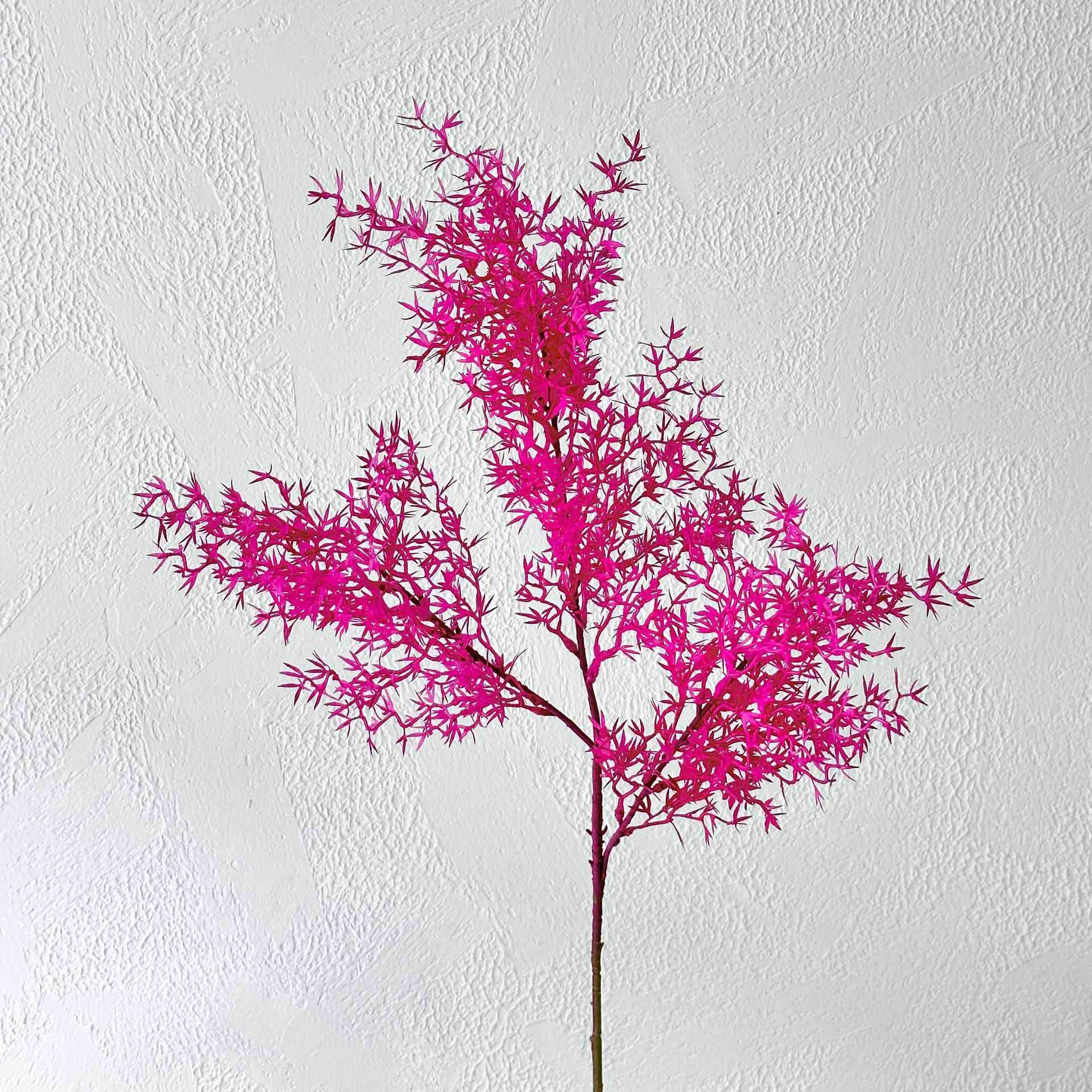 Hojas de coral rosas y moradas