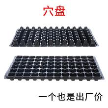 ����Ѩ�P����P�Ӻ�PVC�߲˶���ѿ��Ǥ��P��������P��ݮ������