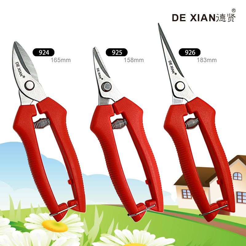 德贤不锈钢花园剪翘头果枝剪弯头葡萄剪玫瑰剪户外修枝剪全兴剪刀