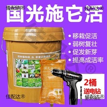 树木大树营养吊针液国光施它活输液袋果树园林乔木移栽营养麦太保