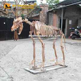 支持按需设计 景区鬃狗动物骨架 户外主题公园游乐场展览生物化石