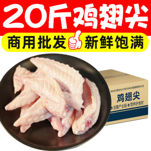 20���u������r�u����uζ�������r�ك�ʳ�ĳ���u������������l