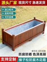 �������ľ�����L����̼����ľ�N����ֵ�ͥԺ���ͽM�ϻ��۷Nֲ��