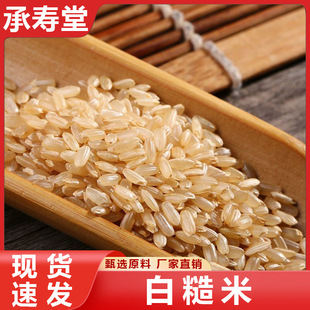 �ײ����峣��ѿ�״ּZ�ײ��׼�ʳ�ּZ��������s�Z�׾����������l