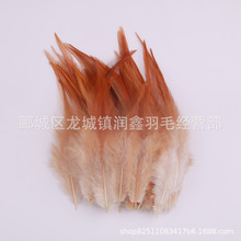 工厂批发4-6英寸红尖鸡毛散毛羽毛饰品逗猫棒装饰羽毛捕梦网材料