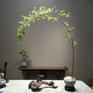 �����҃������h֧�Ϻ����辰ͥԺ����Gֲ΢�������^�p��������