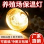 跨境猪用加热养殖取暖灯