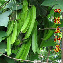 ���ⶹ�N���ĽǶ��N���ݻʵ۶����Ҷ��r���ﶬ���̨�ļ����߲���