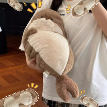 ��������ſ�˺��Hë�q������߿�ͨ��ܛ�����������նY��צ�C����