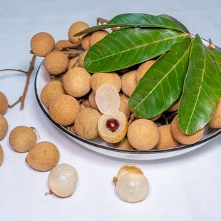 �V�|ʯ���������rˮ���a��ֱ�l��S���\ �ǃ��� ����ˮ��ʯ������