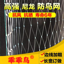 乖乖鸟防鸟网尼龙网家用机场果园防护网防护网葡萄网养殖鱼塘天网